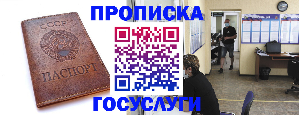 форма 3 в Камчатском крае